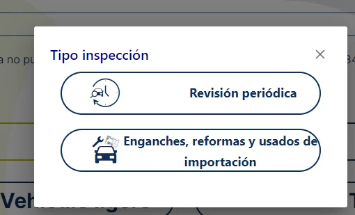 tipo de inspección iTV